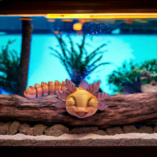 Baby Axolotl 3D